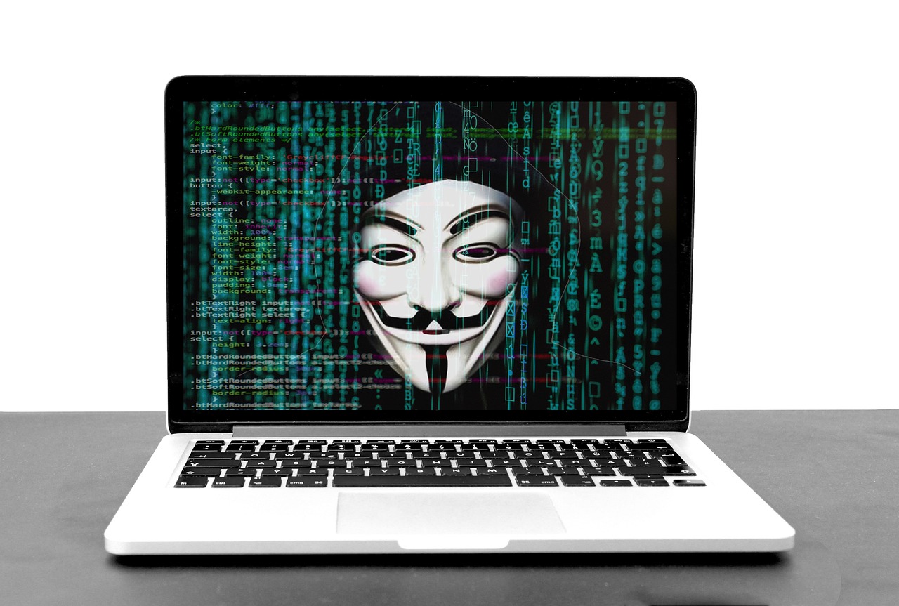 Editorial photo for Fraudulent Online Immigration Services: Can You Sue For False Representation And Misleading Advice?, showing privacy and identity-theft records.