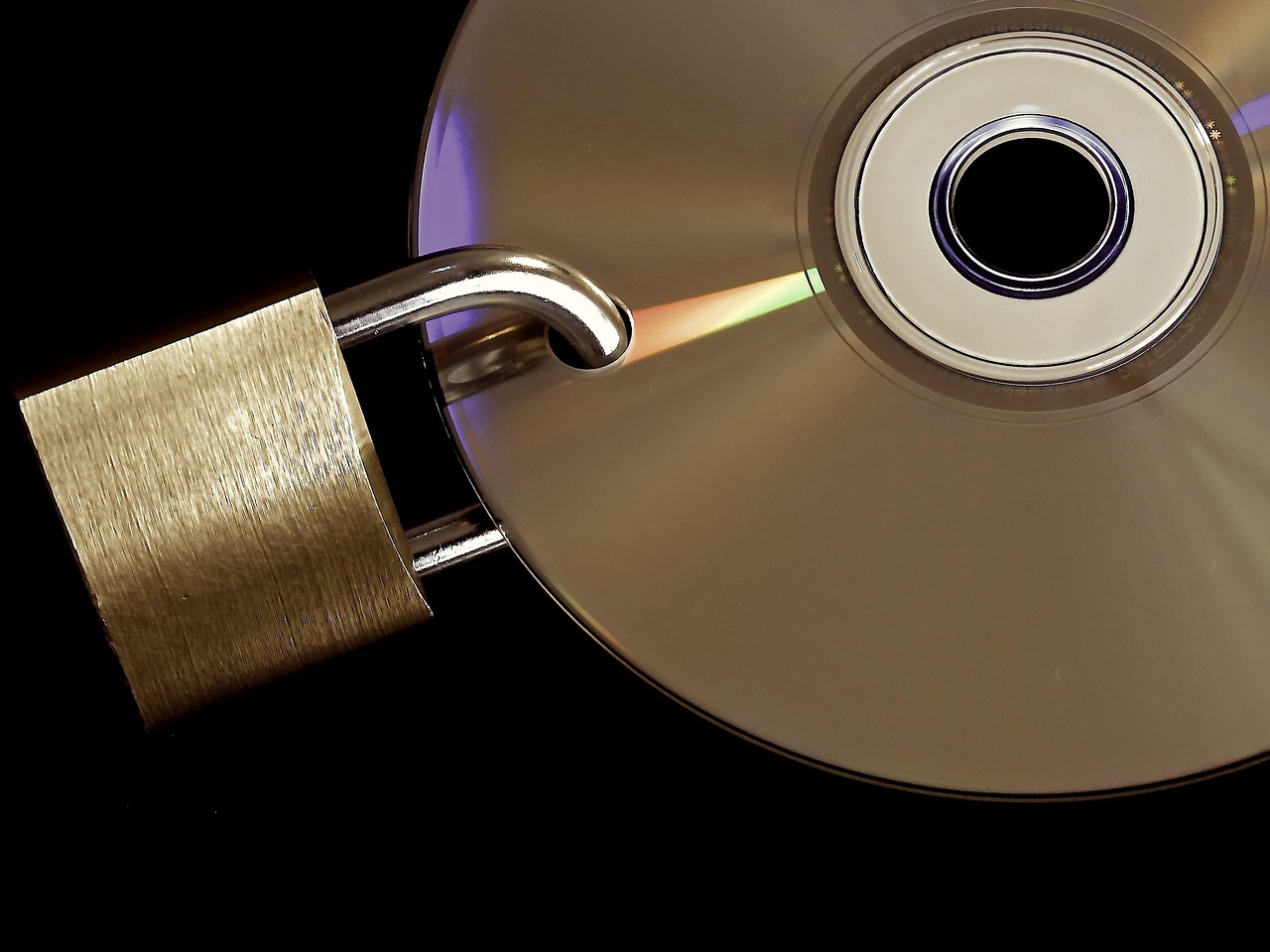 Editorial photo for Fraudulent Insurance Claims: Can You Sue For False Reports?, showing privacy and identity-theft records.
